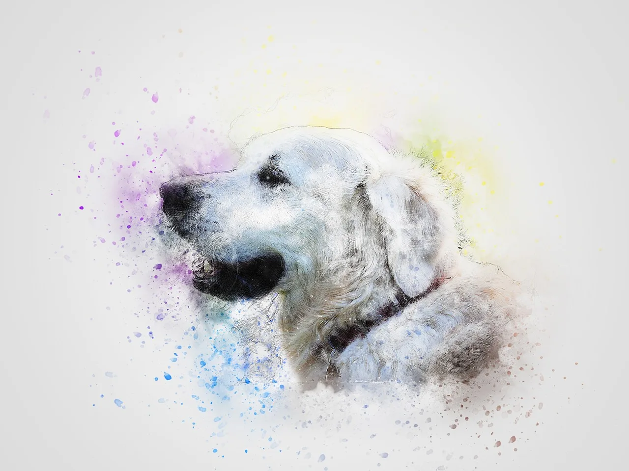Hundehold