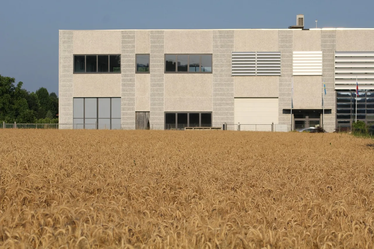 Slik utvikler du barns kreativitet gjennom lek