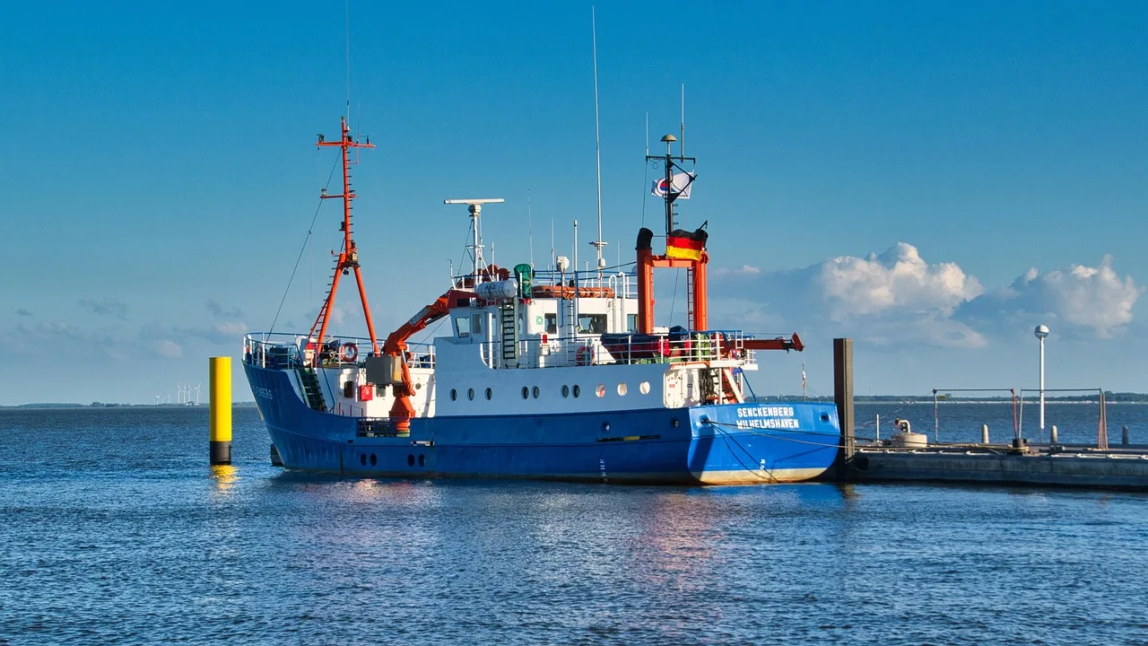 Møte med hvaler under vannet