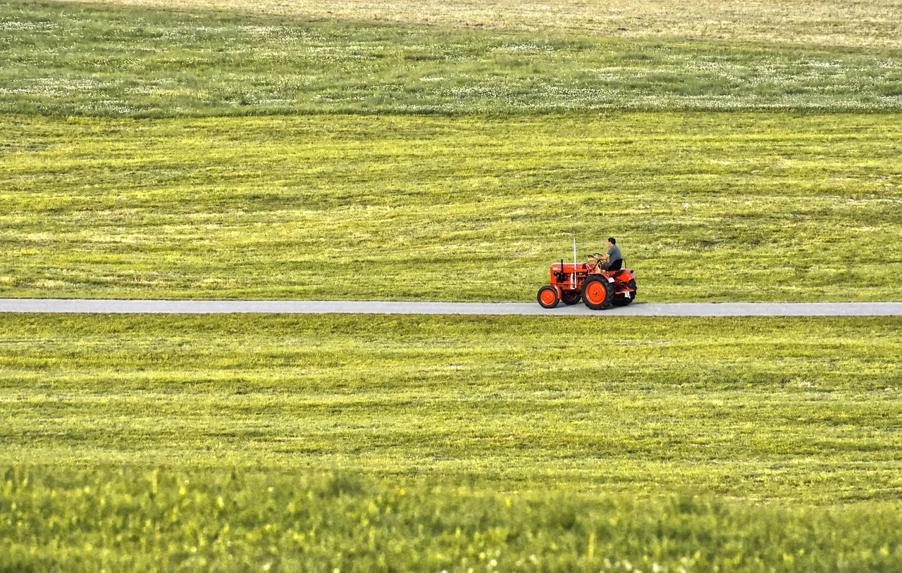 Biller: naturens mangfoldigste dyr — tilstand og framtidsutsikter
