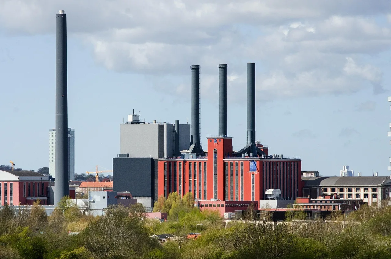 De 10 mest spektakulære sjøpattedyrene i norske farvann